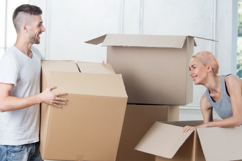 Illustration of inclusive Ireland removals service