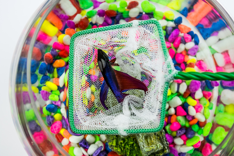 Cleaning Hacks for a Smoother Move-Out Experience